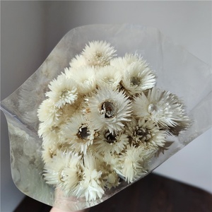 Bouquet de fleurs de lotus des neiges séchées faites à la main, fleurs de roche, décoration chinoise pour maisons et maisons d'hôtes, arrangements floraux de marguerites, fleurs naturelles pour la photographie - Product Image 4