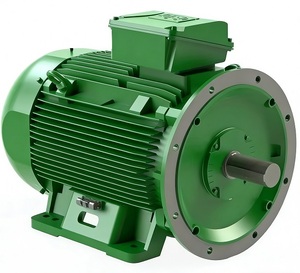 Generador Eléctrico Trifásico WEG W21/W22 de 3kw, 4kw, 5.5kw, 8kw, 10kw, 20kw, 15kw, Alternador, Motor de CA de 220v, 380v, 400V, 690V - Product Image 1