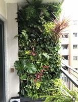 Mur végétal artificiel haut de gamme, Décoration murale de fond vert, Balcon intérieur, Tête de porte 3D, Faux gazon biomimétique