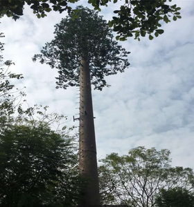 Прямые поставки с завода: Биомиметическая бионическая вышка для телекоммуникаций, настраиваемый цвет и форма, сертификат ISO9001, высота 5-200 м - Product Image 6