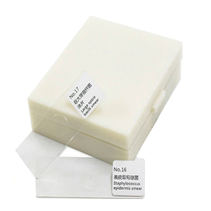 Y Tế Nghiên Cứu Khoa Học Sử Dụng 15Pcs Ếch Phôi Chuẩn Bị Kính Hiển Vi Slide Trong Hộp Nhựa - Product Image 1