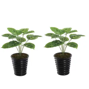 48Cm 0402 Hot Koop Indoor Decoratieve Kleine Kunstmatige Groene Kleur Planten