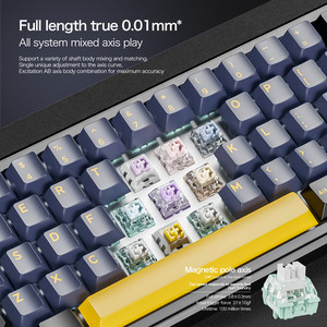 Tấn Công Cá Mập X65 Ông 60% Có Dây Chơi Game Cơ Khí Bàn Phím-Hall Hiệu Ứng Chuyển Đổi Từ Tính 8Khz hot-swappable RGB Bàn Phím - Product Image 3