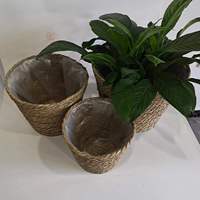 Logo personnalisé jonc de mer jardinière panier tissé à la main plante Pots de fleurs couverture avec doublures en plastique jonc de mer plante Pot panier