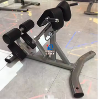 Machine d'extension dorsale à charges individuelles YG-FITNESS YG-7036 pour usage commercial