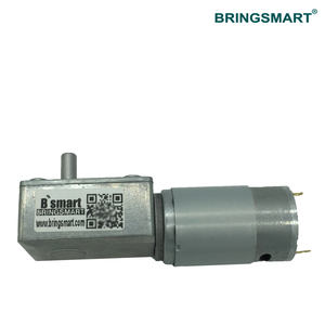 BringSmart SRY-395 Micro 12V 24V Hoge Koppel Wormwielmotor voor Speelgoedauto Zelfremmend voor Robot Kleine Elektrische DC Tandwielmotor - Product Image 6