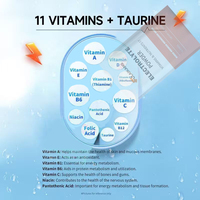 Poudre d'électrolytes végétalienne en vrac pour l'hydratation et le calme des adultes – Boisson hydratante au magnésium