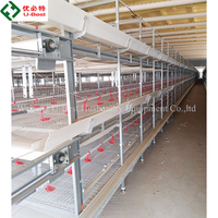 Cages à poulets de type H entièrement automatiques, galvanisées à chaud, à haute capacité de charge, faciles à installer, avec mangeoire et abreuvoir