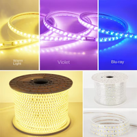 Guirlandes lumineuses LED intelligentes haute tension pour extérieur, double rangée, triple rangée, étanches 12 mm IP65, tricolores