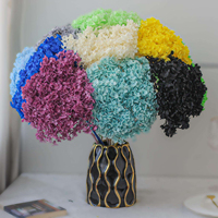 Kleurrijke Echte Gedroogde Hortensia Bloemen, Grote Bloemknoppen, voor Bruiloftdecoratie, Bloemkunst, Groothandel