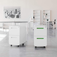 Armoire à dossiers à 2 tiroirs avec serrure à combinaison, entièrement assemblée sauf les roulettes, armoires à dossiers mobiles sous le bureau pour le bureau à domicile