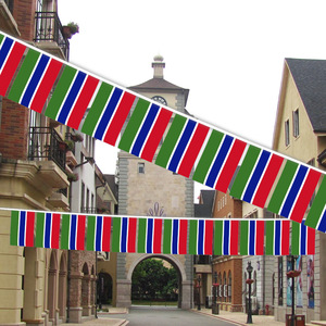 <span class=keywords><strong>Bandera</strong></span> de <span class=keywords><strong>Gambia</strong></span> al por mayor de 3x5 pies (90x150cm) para exteriores, <span class=keywords><strong>bandera</strong></span> nacional de exhibición, <span class=keywords><strong>bandera</strong></span> del país gambiano - Product Image 5
