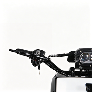Moto tout-terrain puissante avec moteur central de 3000 W, batterie au lithium 60 V 24 Ah, autonomie de 90 km, E-Dirt Bike - Product Image 5