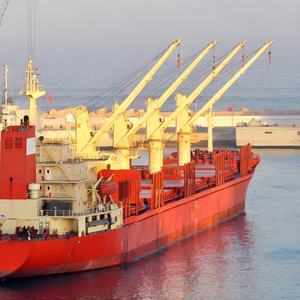 رافعة سطحية بحرية هيدروليكية معتمدة من CCS/BV، رافعة بقاعدة مقاومة للتآكل - Product Image 4