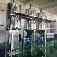 Nieuwe Kant-En-Klare Automatische Palmolieverwerkingsfabriek Met Extractieapparatuur 1000 Kg/u Capaciteit