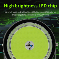 Lampe de pêche LED professionnelle personnalisée 1000W, attirant les poissons, éclairage marin supérieur, cyan vert, lumières de pêche LED pour éclairage de bateau