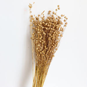 סדרת זהב פרי זומבי פרי אקליפטוס צבוע זהוב פירות דוחן שירלי פופי משומר פרחי זהב מיובשים - Product Image 6