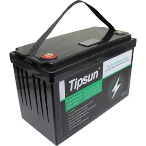 LiFePO4 12 V 100 ah tiefzyklus-lithium-eisen-phosphat-batterie lifepo4 wiederaufladbare batterie für ESS