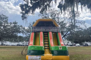 Thương mại thiết kế mới PVC <span class=keywords><strong>Inflatable</strong></span> Bouncer trượt nước và leo núi đá trượt với có thể tháo rời hồ bơi rẻ hơn để bán - Product Image 5