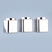 Bocaux carrés classiques en acier inoxydable poli argenté pour cuisine, thé, café, sucre – Conservation de la fraîcheur – Cadeaux promotionnels