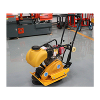 Nouvelle conception de compacteur électrique essence diesel personnalisé compacteur à plaques vibrantes 30KN