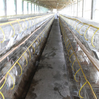 Élevages de poulets en couches métalliques pour usage commercial, respectueux de l'environnement