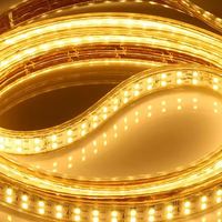 Bande lumineuse LED flexible SMD5050 RGB 220V, IP65, revêtement PVC, ruban intelligent étanche pour la décoration intérieure et extérieure