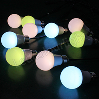 Ampoule LED DMX dynamique 60 mm, immersive, E27, adressable, DMX RGB CCT, ampoule à pixels
