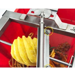 Machine industrielle entièrement automatique pour peler les noix de coco/peler les ananas (dénoyauteur et trancheuse) - Product Image 5