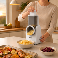 Elektrische automatische kaasrasp, groentesnijder, -schaaf en -slicer voor thuiskeuken