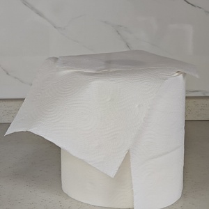 Household Use Kitchen Paper Printed 2 Ply Virgin Wood Pulp Strong Sustainable Roll <strong>PaperTowel</strong> - Product Image 5