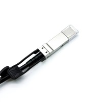 Kabel DAC: 40G QSFP + 1m Twinax tembaga pasif: Kabel pasang langsung untuk saklar & Server jaringan pusat Data