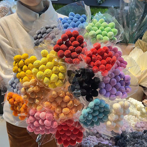 Bouquet de décoration de mariage de vraies fleurs fraîches Pycnosorus Bouquet de boules de Billy naturel préservé Boutons de Billy pour la Saint-Valentin - Product Image 1