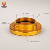 Adaptateur de tuyau d'incendie forgé, raccord fileté pour lutte contre l'incendie avec base à large bride et surface anodisée pour équipement de protection incendie