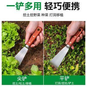 Pelle de jardin à manche en bois, acier inoxydable 430, pour la plantation, le creusement du sol et les travaux de jardinage - Product Image 2
