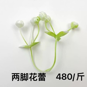 Fleurs artificielles en plastique simulé Hailey, 10 cm, vert et blanc, moulage par injection pour décorations - Product Image 2