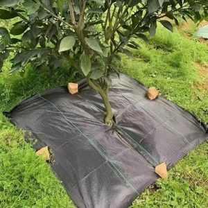 Barrière d'<span class=keywords><strong>herbe</strong></span> <span class=keywords><strong>anti</strong></span>-mauvaises herbes pour le <span class=keywords><strong>jardin</strong></span>, tissu de couverture du sol, tapis de <span class=keywords><strong>géotextile</strong></span> tissé pour l'aménagement paysager - Product Image 5