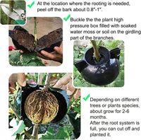 Grande taille 12cm diamètre haute pression arbre Rooter Air superposition Propagation plante racine croissance boîte boule