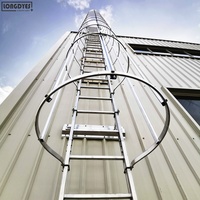 Dispositif antichute personnel standard EN Échelle de fixation verticale avec cage de sécurité pour bâtiments et tours à structure élevée
