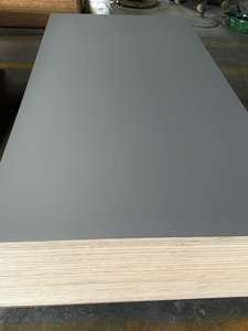 لوحة سميكة خاصة من منتجات ، لوحة قشرة متعددة الطبقات من الميلامين 18 مم - Product Image 4