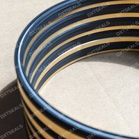 Spring Energized End Face Seal Combination for Engine Gaskets Seals 167.45mm Customized Model China Origin