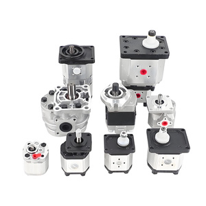 bibo 01174513 Hydraulic Single Gear <b>Pump</b> 1 Stage 200 <b>Bar</b> Operating 4-25cc Displacement 1 Year Warranty for FL912 FL913 - Product Image 2