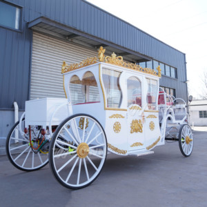 รถม้าไฟฟ้าสีขาวทองขนาดเล็กแบบเปิดประทับที่นั่ง ขับเคลื่อนด้วยแบตเตอรี่ลิเธียม เหมาะสำหรับงานแต่งงานขนาดเล็ก สถานที่จัดงานแต่งงาน หรือถ่ายภาพสุดโรแมนติก - Product Image 5
