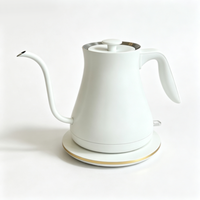 Bouilloire électrique de 0,8 L avec contrôle de la température, portable, en acier inoxydable 304, chauffe-eau avec fonction d'arrêt automatique, pour usage domestique