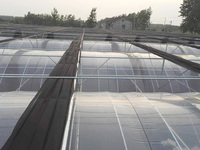 Serre commerciale multi-travées en acier galvanisé à chaud avec couverture en film, grande taille 8m/10m/12m, pour système hydroponique