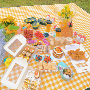 Esterilla de picnic, esterilla de picnic para exteriores, impermeable y resistente a la humedad, para excursiones de primavera, picnic en la playa, gruesa, portátil, plegable - Product Image 4