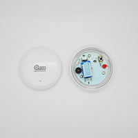 Détecteur de fuite d'eau intelligent pour maison connectée avec capteur de débit d'eau ABS moderne WiFi avec contrôle par application
