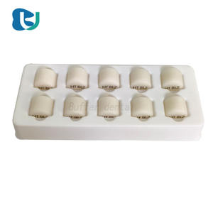 10 Piezas de Lingotes Fundibles LT HT MT para Laboratorio <span class=keywords><strong>Dental</strong></span>, <span class=keywords><strong>Material</strong></span> para Prótesis Dentales para Restauración Estética Oral - Product Image 5