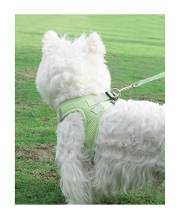 <strong>Cat</strong> Dog <strong>Harness</strong> Adjustable Vest Walking Lead Leash for Puppy Designer Dogs Collar Polyester Mesh <strong>Harness</strong> for Small Medium Dog - Product Image 4
