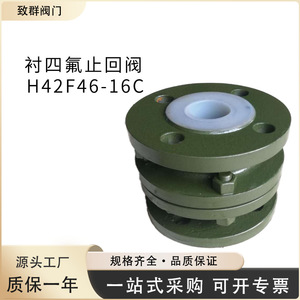 Válvula de Retención de Acero Fundido H42F46-16C DN80 con Sellado de PTFE, Resistente a Ácidos, Operación Manual - Product Image 5